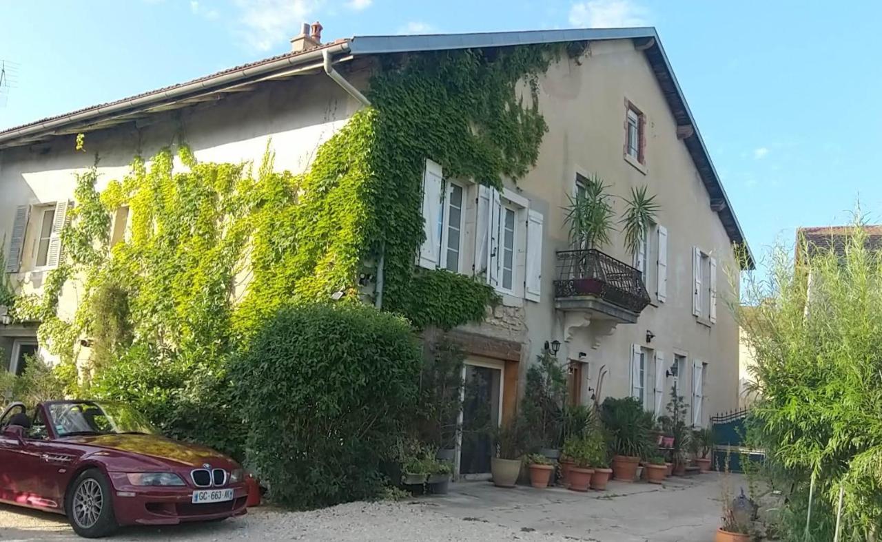 فندق A La Grenouille Du Jura Bellignat المظهر الخارجي الصورة