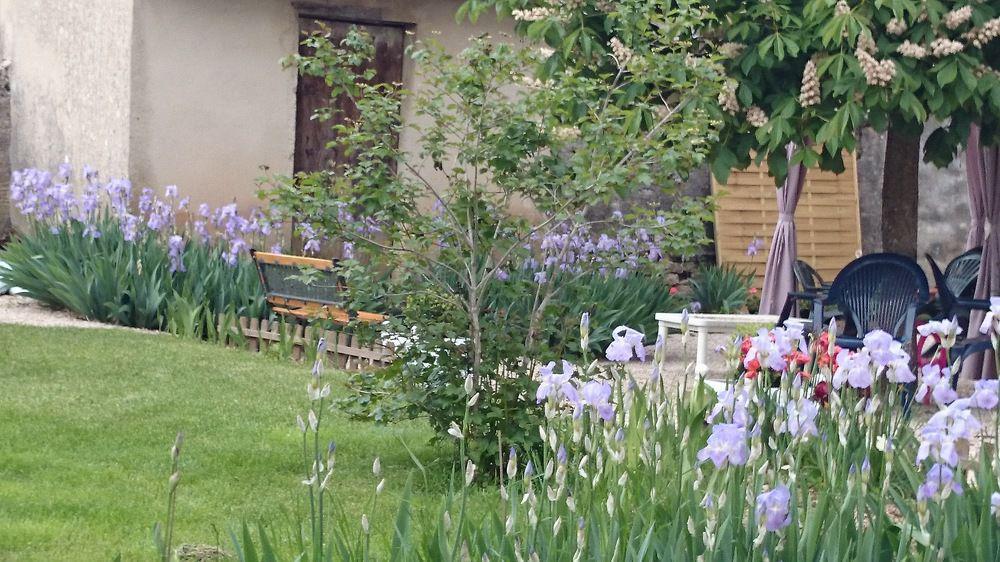 فندق A La Grenouille Du Jura Bellignat المظهر الخارجي الصورة